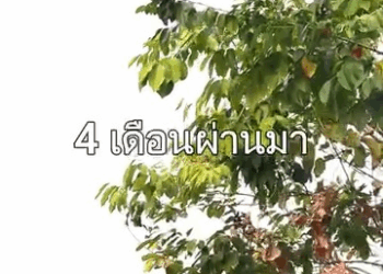 [ครบชุด] WIN68062 อย่ามองคนจากภายนอก สุดท้ายคุณจะเสียใจ