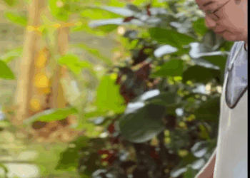 [ครบชุด] WIN68006 แม่ผัวคนนี้ เลือกที่จะเข้าข้างสะใภ้ ละครสั้น