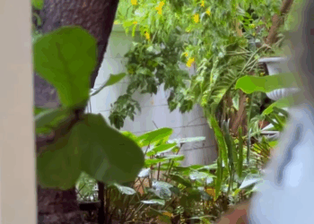 [ครบชุด] WIN68096 ก็แค่แม่บ้าน ที่ใครๆ ก็มองว่าไร้ตัวตน