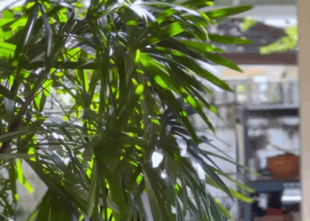 [ครบชุด] WIN68130 ไม่ใช่เจ้านายทุกคน