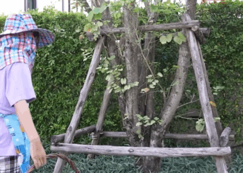 [ครบชุด] WIN68169 เด็กบ้านเช่าอย่างแก ไม่มีสิทธิ์เดินผ่านตรงนี้