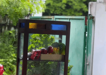 [ครบชุด] WIN68302 คนกตัญญู อยู่ที่ไหนใครก็รัก ละครสั้นดูอินดี้