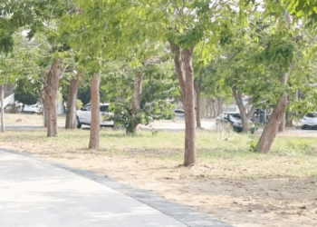 [ครบชุด] WIN68362 เศรษฐีมาลัย