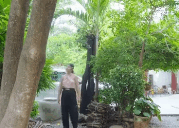 [ครบชุด] WIN68248 เธอช่วยชีวิตคน แต่ผลคือเธอโดนไล่ออก